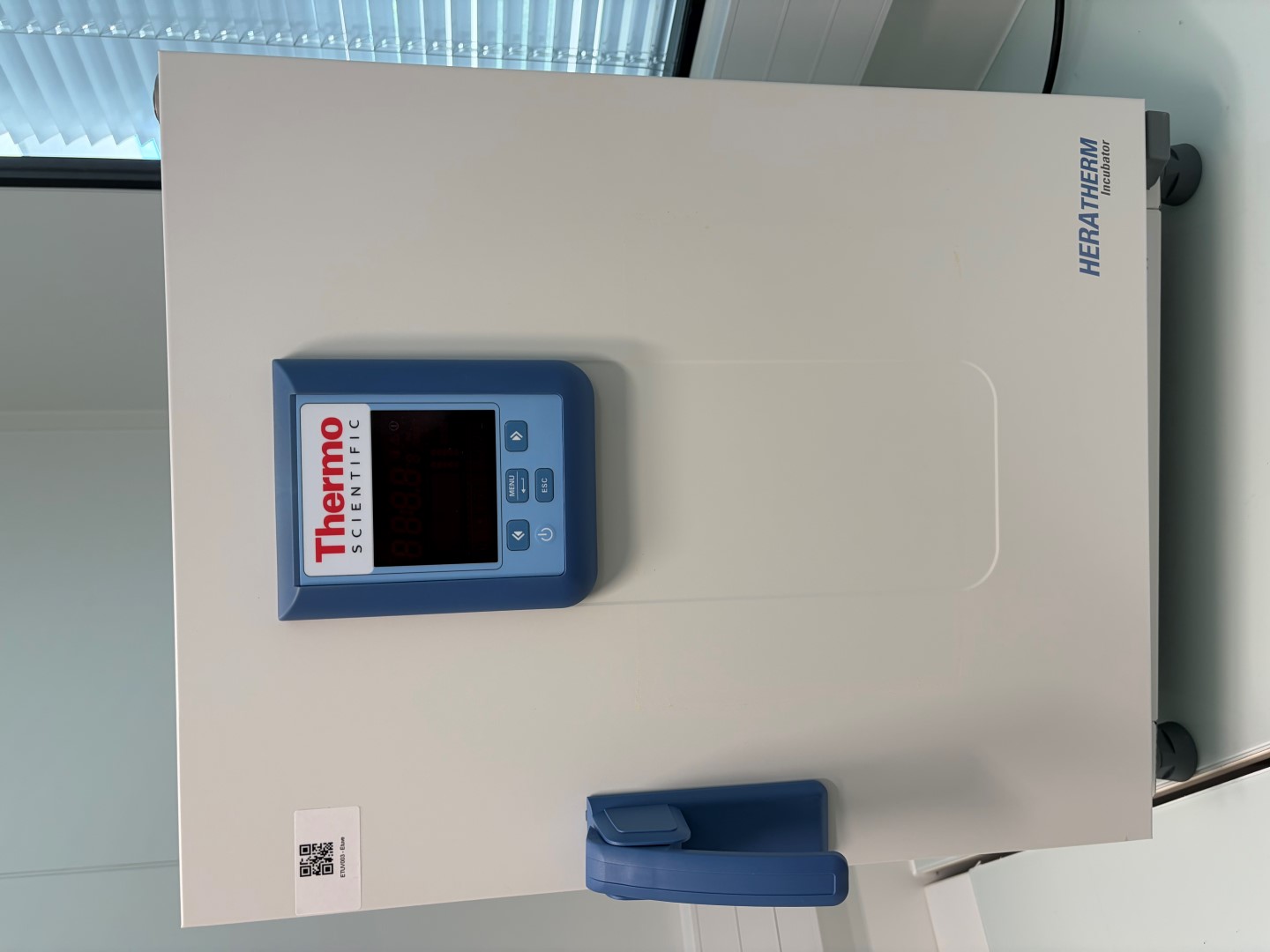 THERMO SCIENTIFIC HERATHERM IMH60 - Incubator